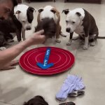 Dog Games | image tagged in gifs,dog games | made w/ Imgflip video-to-gif maker