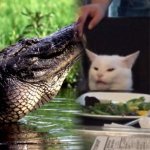 Alligator and Smudge
