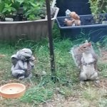 Squirrel playing musical statues