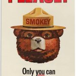 Do it | CLICK THIS MEME | image tagged in please only you can,memes,funny,smokey the bear | made w/ Imgflip meme maker