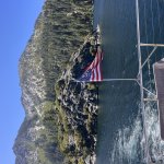 Happy 4th from Kirby West Consulting!