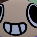 Front Facing Shelly