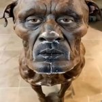Serious doggie