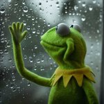 kermit sad