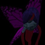 Dark Nymph