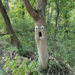 googly eye tree
