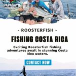 Roosterfish Fishing Costa Rica