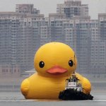 big duck