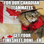 mounty cat timesheet | FOR OUR CANADIAN 
TEAMMATES; GET YOUR TIMESHEET DONE... EH | image tagged in canada cat | made w/ Imgflip meme maker