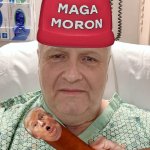 Hungry orange hogg