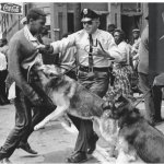 Bull Connor Celebration template