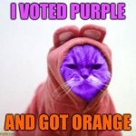 Sullen RayCat | I VOTED PURPLE; AND GOT ORANGE | image tagged in sullen raycat | made w/ Imgflip meme maker