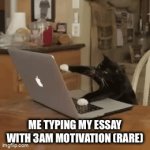 [insert clever title here] | ME TYPING MY ESSAY WITH 3AM MOTIVATION (RARE) | image tagged in gifs,cats | made w/ Imgflip video-to-gif maker