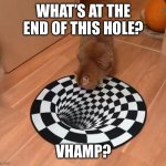 F is at the bottom of the hole | WHAT’S AT THE END OF THIS HOLE? VHAMP? | image tagged in a cat staring at an optical illusion,vhamp | made w/ Imgflip meme maker