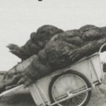 POV: You are looking at Godzilla in a wheel barrel