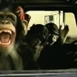 laughing monkeys GIF Template