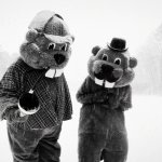 Hundreds of beavers sherlock holmes template