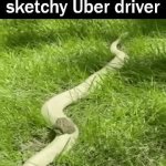Snake ride GIF Template