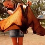Fruit bat