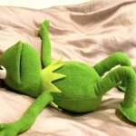 Cecília | image tagged in kermit frog exhausted | made w/ Imgflip meme maker
