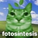 Fotosíntesis