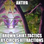 At least something is getting them out of their parents basement | ANTIFA; BROWN SHIRT TACTICS BY CIRCUS ATTRACTIONS | image tagged in antifa,fat gamer,larp,am i a joke to you,yes | made w/ Imgflip meme maker