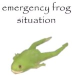 Emergency frog situation