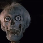 Skeleton face