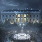 White House UFC