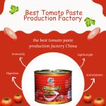 Best Tomato Paste Production Factory