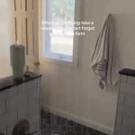The G. (gif) O. A. T. | image tagged in gifs,the goat gif | made w/ Imgflip video-to-gif maker