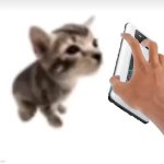 El gatito phone