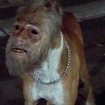 Bodysnatchers Dog Man