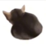 Twerking el gatito