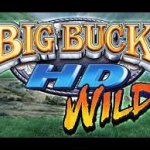 Big buck wild