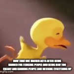 WaHhHh! i WaSnT bReAkInG tHe RuLeS!!11!1 | HOW THAT ONE HACKER ACTS AFTER BEING BANNED FOR FLINGING PEOPLE AND BEING WAY TOO FREAKY AND BANNING PEOPLE AND MESSING EVREYTHING UP | image tagged in gifs,hacker,annoying people,crying duck | made w/ Imgflip video-to-gif maker