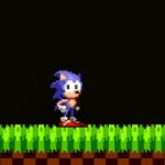 Concerned Sonic