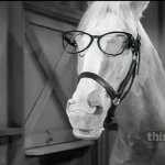 Ed glasses