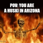 Poor dogs | POV: YOU ARE A HUSKI IN ARIZONA | image tagged in gifs,dogs,fire,hell,huski,las vegas | made w/ Imgflip video-to-gif maker