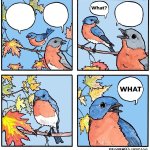 what bird template