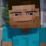steve