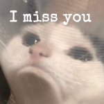I miss you