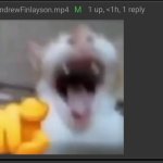 Andrew point laugh