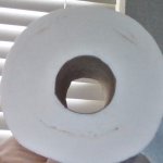Fred the toilet paper roll