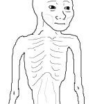 Weak wojak