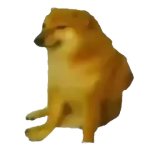 Cheems low res