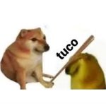 Dog bastão tuco