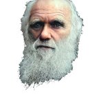 Charles Darwin Head
