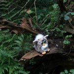 hunger games furby