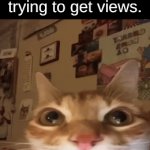 like you be praising the video in the comments only to realize the ugly ahh face in the corner shortly after | the green screen kid in the corner of the yt short/tiktok trying to get views. | image tagged in gifs,memes,green screen,you have been eternally cursed for reading the tags | made w/ Imgflip video-to-gif maker